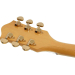Напівакустична електрогітара GRETSCH G2410TG STREAMLINER HOLLOW BODY WITH BIGSBY VILLAGE AMBER