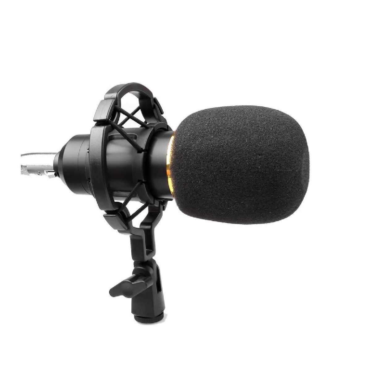 Мікрофон HL AUDIO BM-800