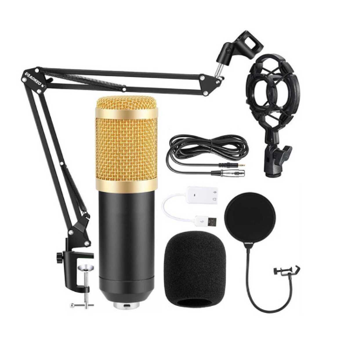 Мікрофон HL AUDIO BM-800