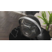Портативна акустика Harman Kardon Onyx Studio 7 Black (HKOS7BLKEP)