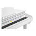 Цифровий рояль Kurzweil KAG-100 WHP