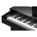 Цифрове піаніно Kurzweil M70 SR