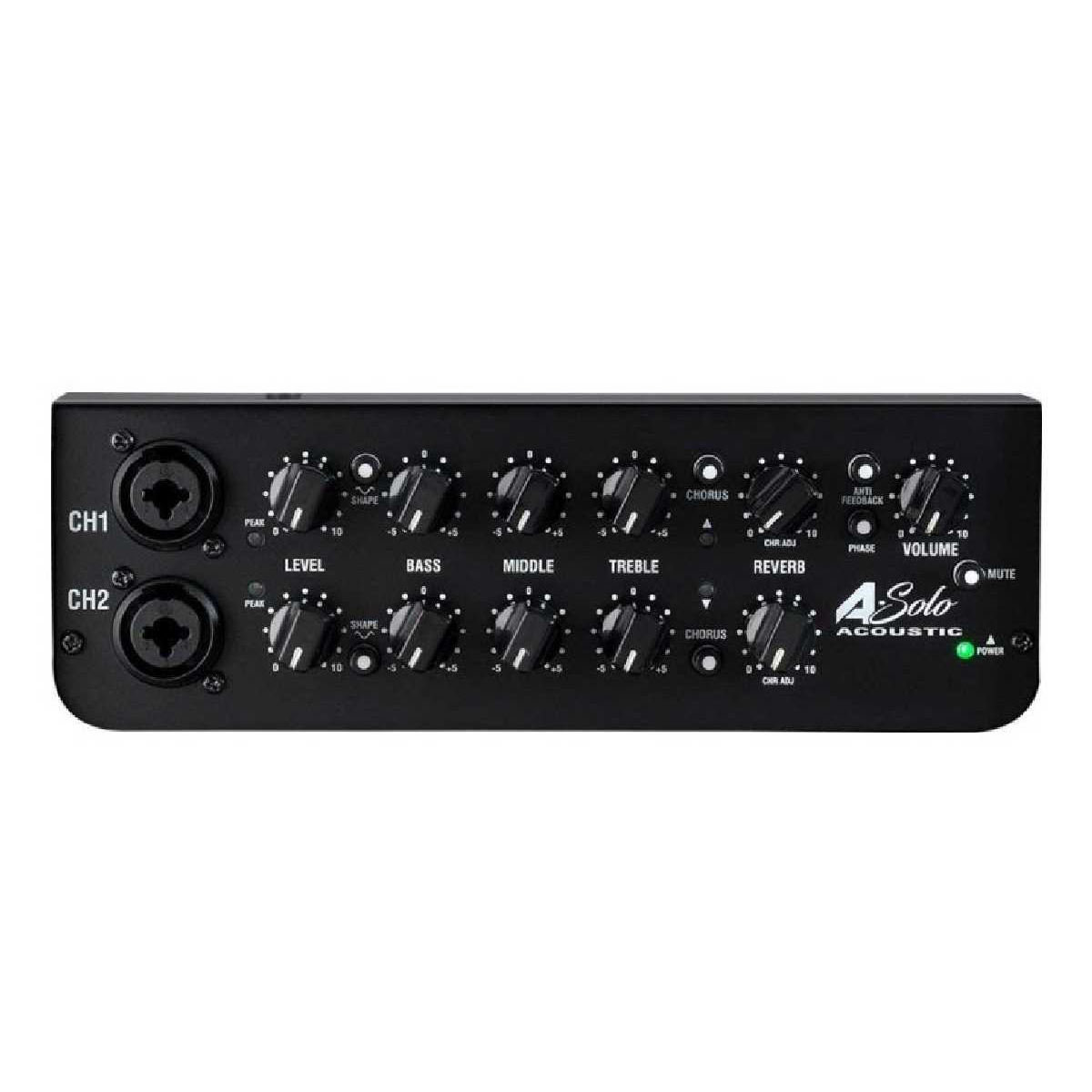 Акустичний комбопідсилювач Laney A-Solo