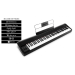M-AUDIO Hammer 88