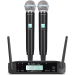 Радіосистема HL AUDIO GLXD4