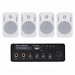 Акустический комплект Sky Sound SMS-3104, усилитель 2×30 Вт, 4 потолочные колонки 6.5"
