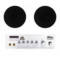 Акустический комплект Sky Sound CSY-5504 Black, усилитель 2×60 Вт, 2 потолочные колонки 5.5", IP44