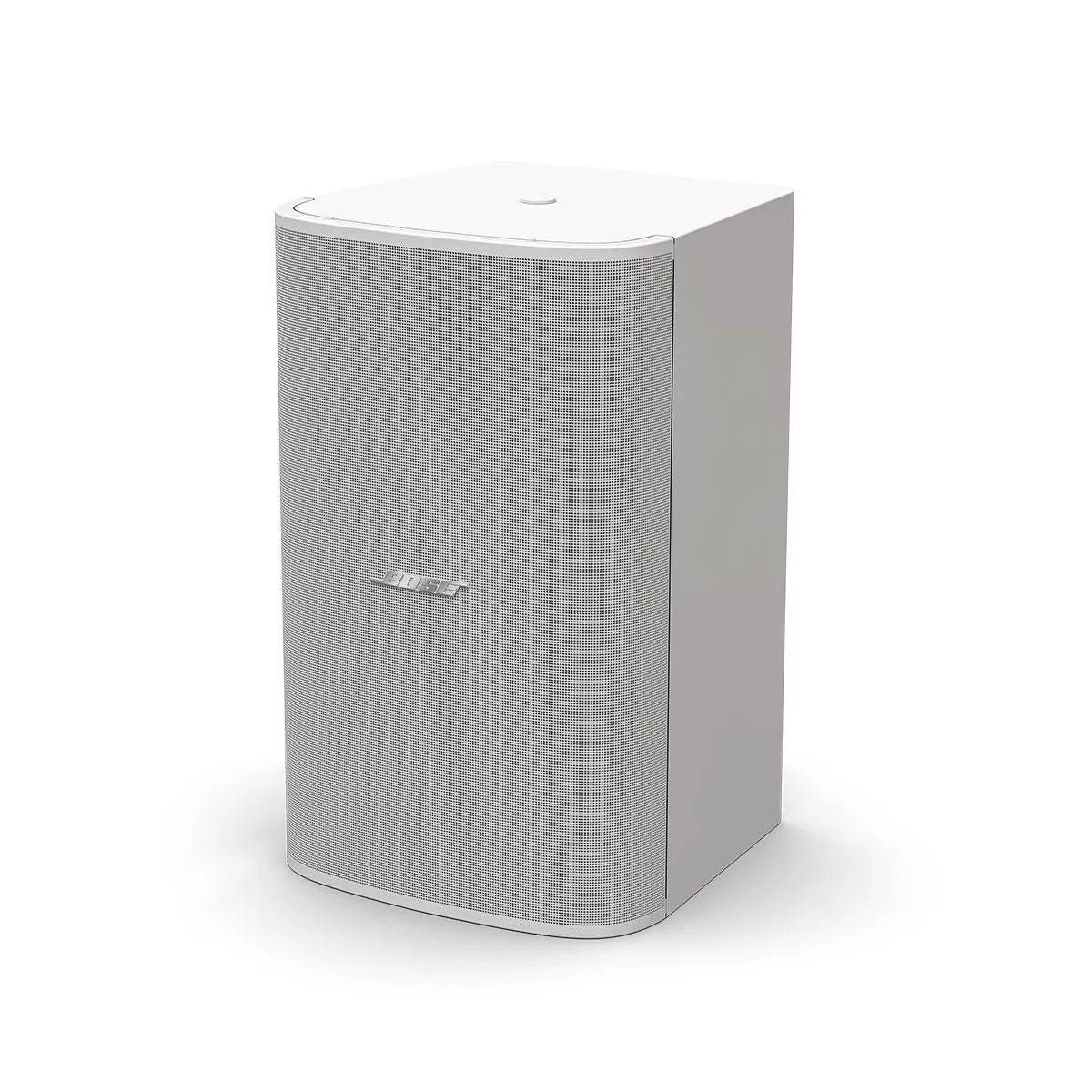 Потолочный сабвуфер Bose DesignMax DM10S-SUB, 300 Вт, 10", белая
