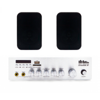 Акустический комплект Sky Sound WMS-1204 Black, усилитель 2×60 Вт, 2 настенные колонки 5"