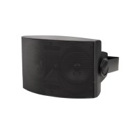 Акустическая система Top Sound F-LHY505D 2x5", 50 Вт, 100 В, черный, 2×5"