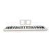 Складане цифрове піаніно (в комплекті з чохлом) Musicality CP88-WH _CompactPiano
