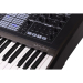 Аналоговий синтезатор Arturia PolyBrute Noir Edition