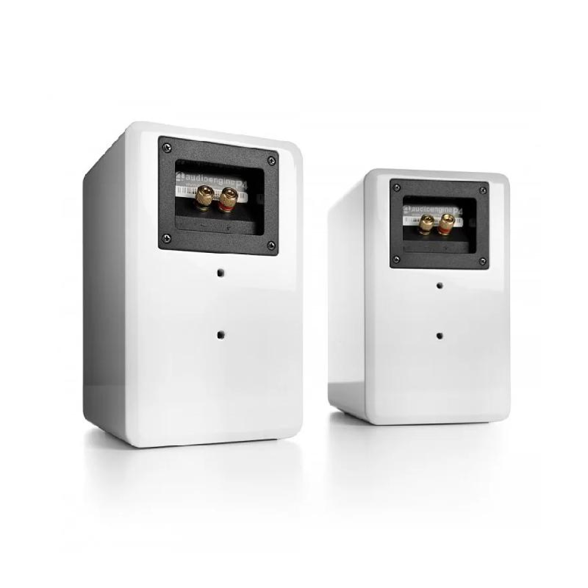 Пасивна полична акустична система AudioEngine P4 White