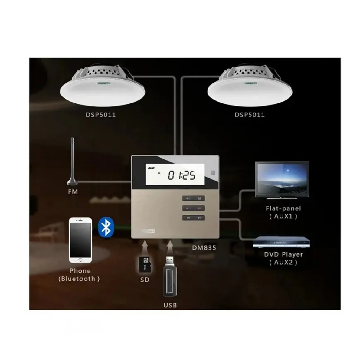 Мультимедійна акустична система DSPPA M2W