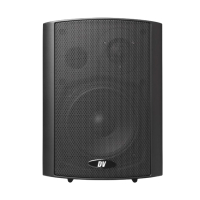 Настінна акустична система DV Audio WM-422TB