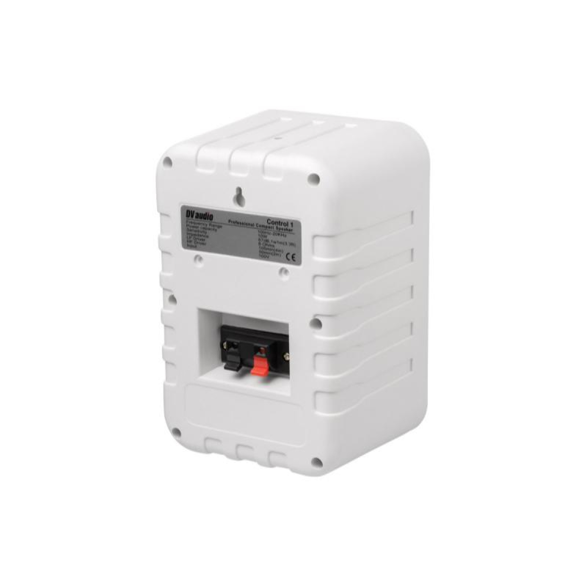 Комплект звука DV audio LA1008CON1W для помещения до 160м.кв