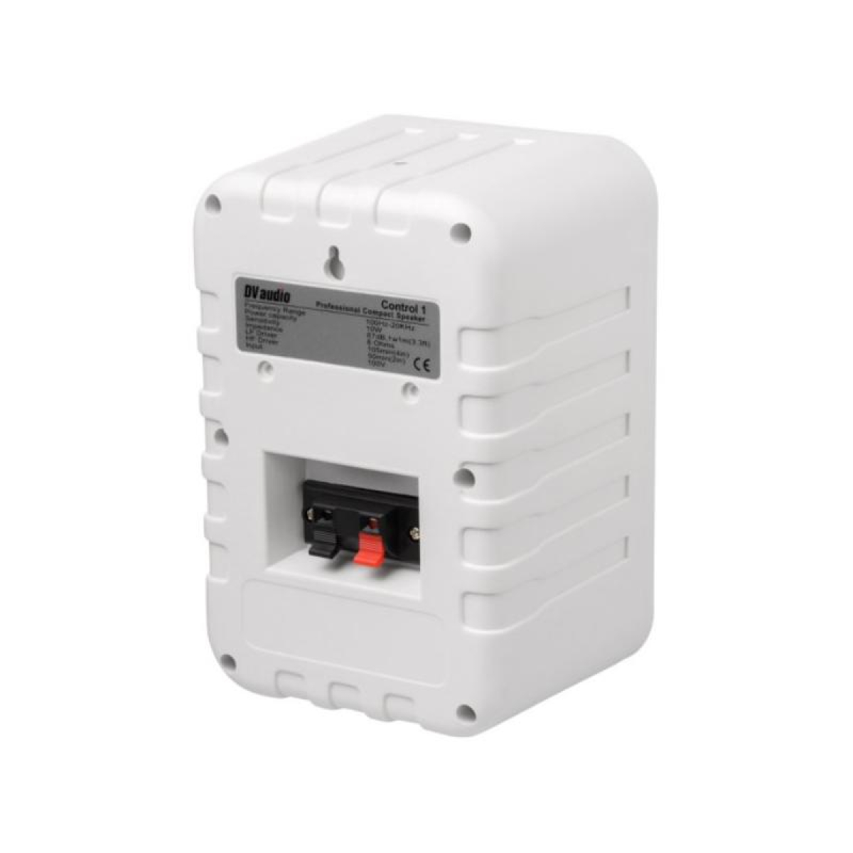 Комплект звука DV audio MA302CON1W для помещения до 40м.кв