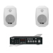 Комплект звука DV audio MA302MS4W для помещения до 40м.кв