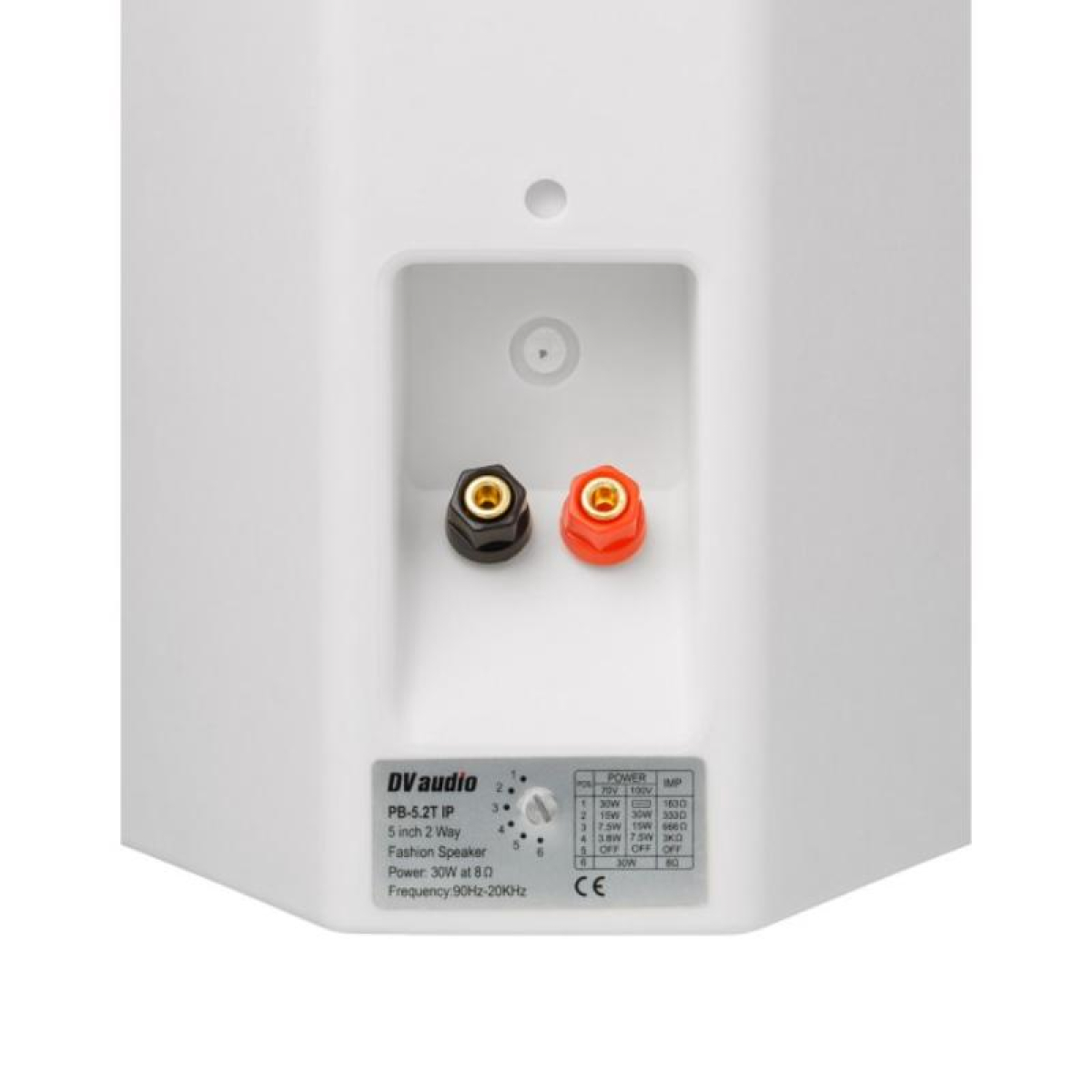 Комплект звуку DV audio MA302PB5W для приміщення до 40м.кв.