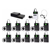 Бездротова система тур-гід DV audio TGD-KIT1T10R комплект