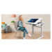 Інтерактивна парта INTBOARD STADY 24" white RK3568/8 Gb RAM/128 Gb ROM Android 11
