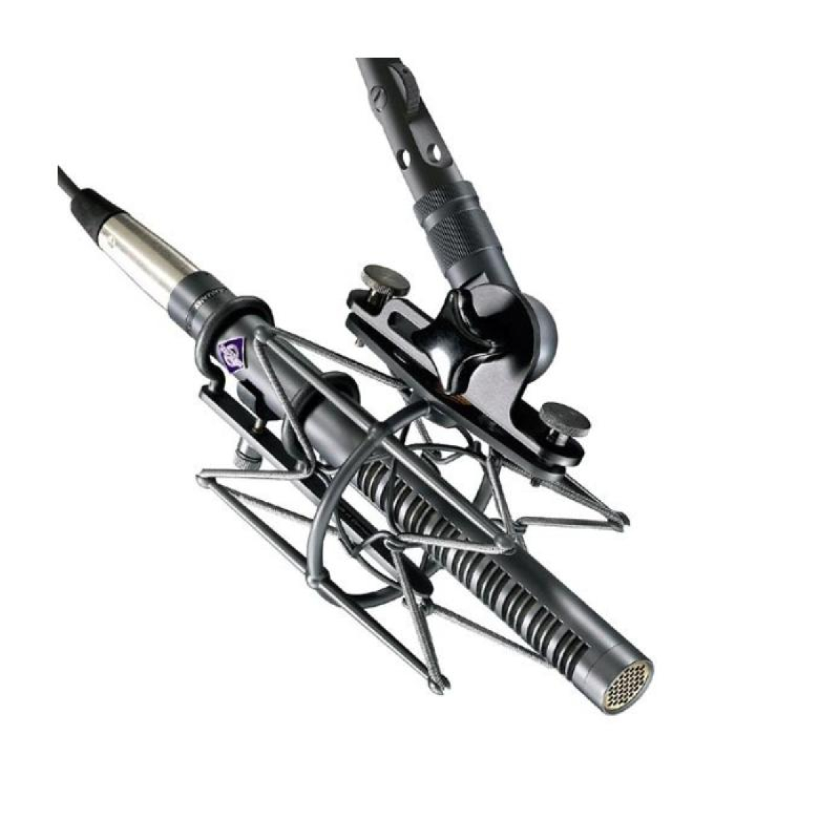 Микрофон Neumann KMR 81i MT типа "shotgun"