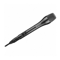 Микрофонный капсюль Sennheiser ME 65 для К6/К6Р, черный