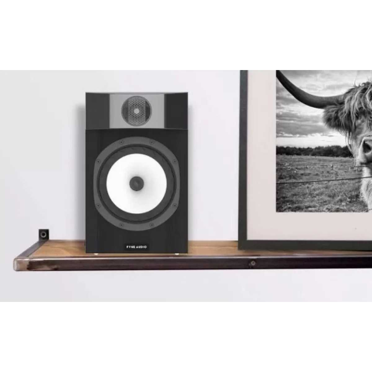 Полочна акустика Fyne Audio F301 Black Ash