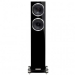 Акустика підлогова Fyne Audio F501SP Piano Gloss Black