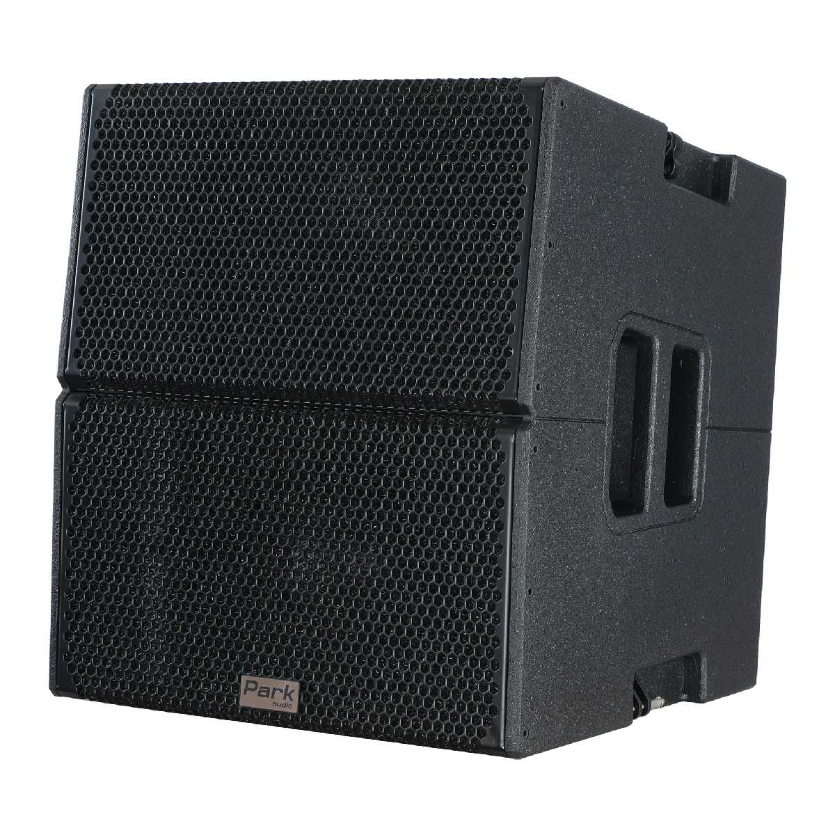 Лінійний масив постійної кривизни Park Audio D2-Р