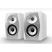 Активный монитор Pioneer VM-50-W