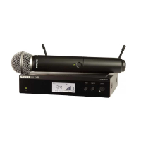 Радіосистема Shure BLX24RE/SM58