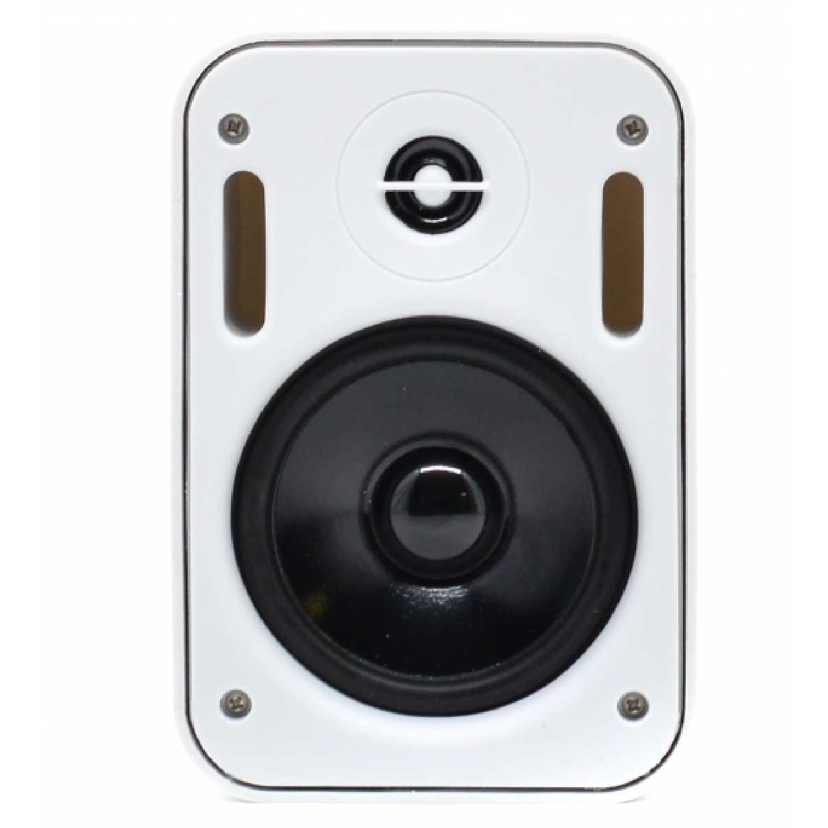 Настінна акустика SKY SOUND PM-2401W/TW