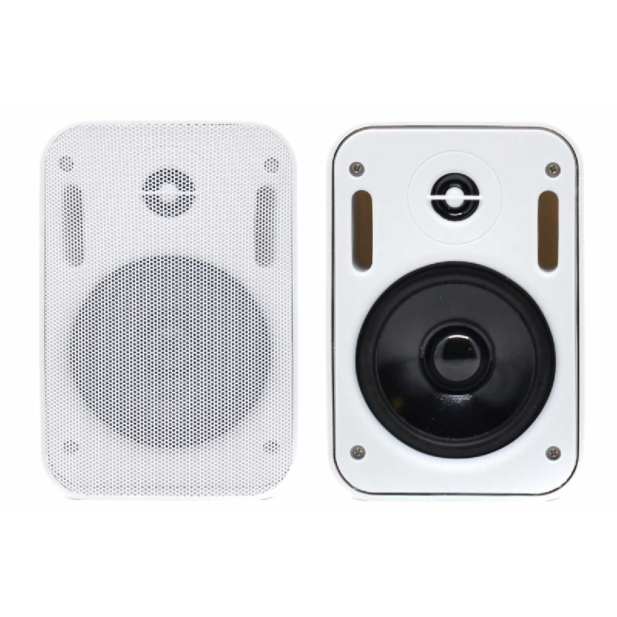 Настінна акустика SKY SOUND PM-2401W/TW