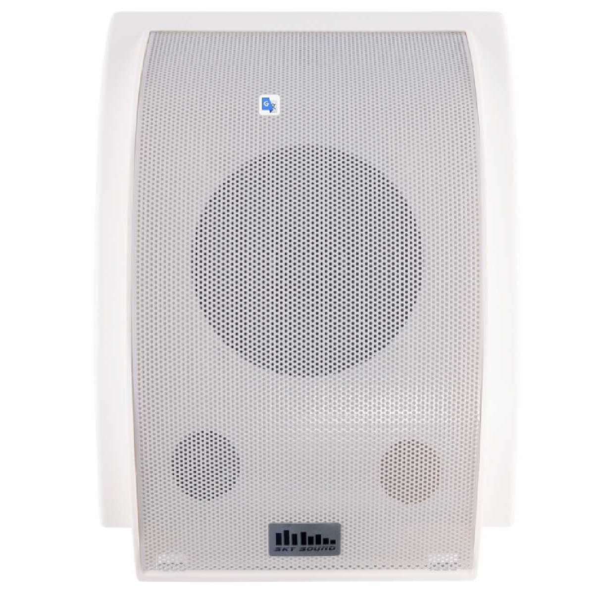 Настенная акустика SKY SOUND T-612TW