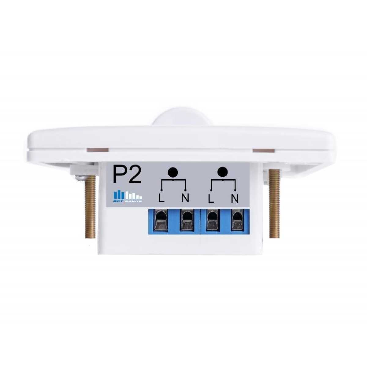 Регулятор гучності SKY SOUND V-20W (20W/100V)