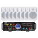 Акустичний комплект SKY SOUND WSM-2408