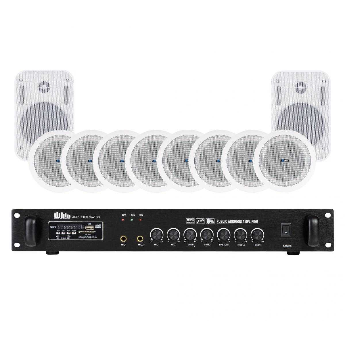 Акустичний комплект SKY SOUND WCS-1424