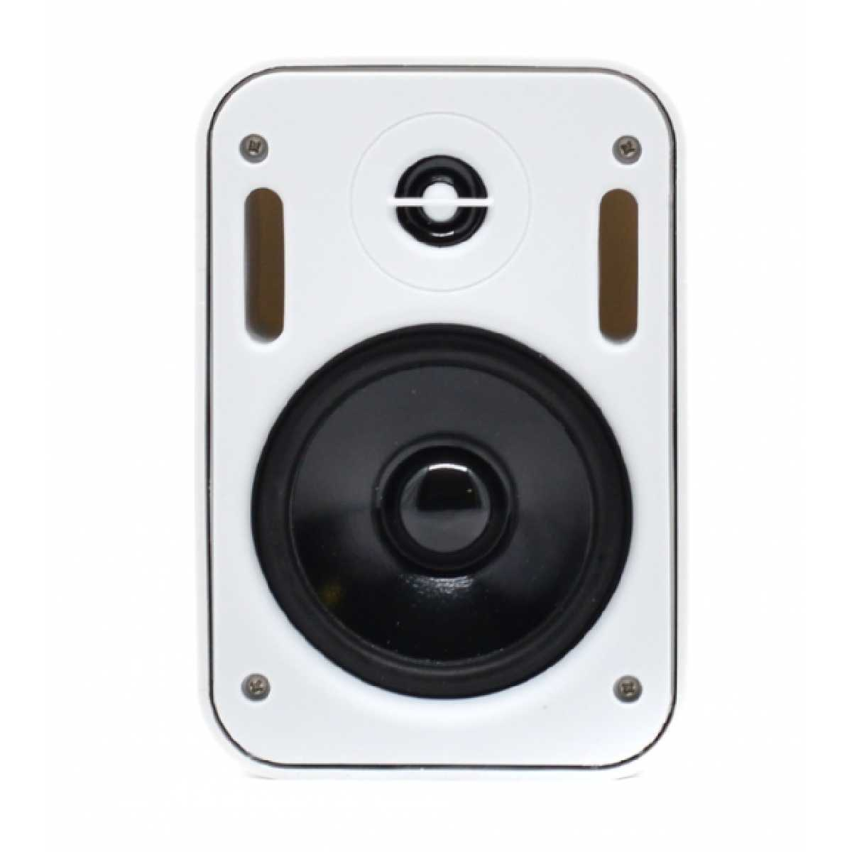 Настінна акустика SKY SOUND PM-1401W/TW