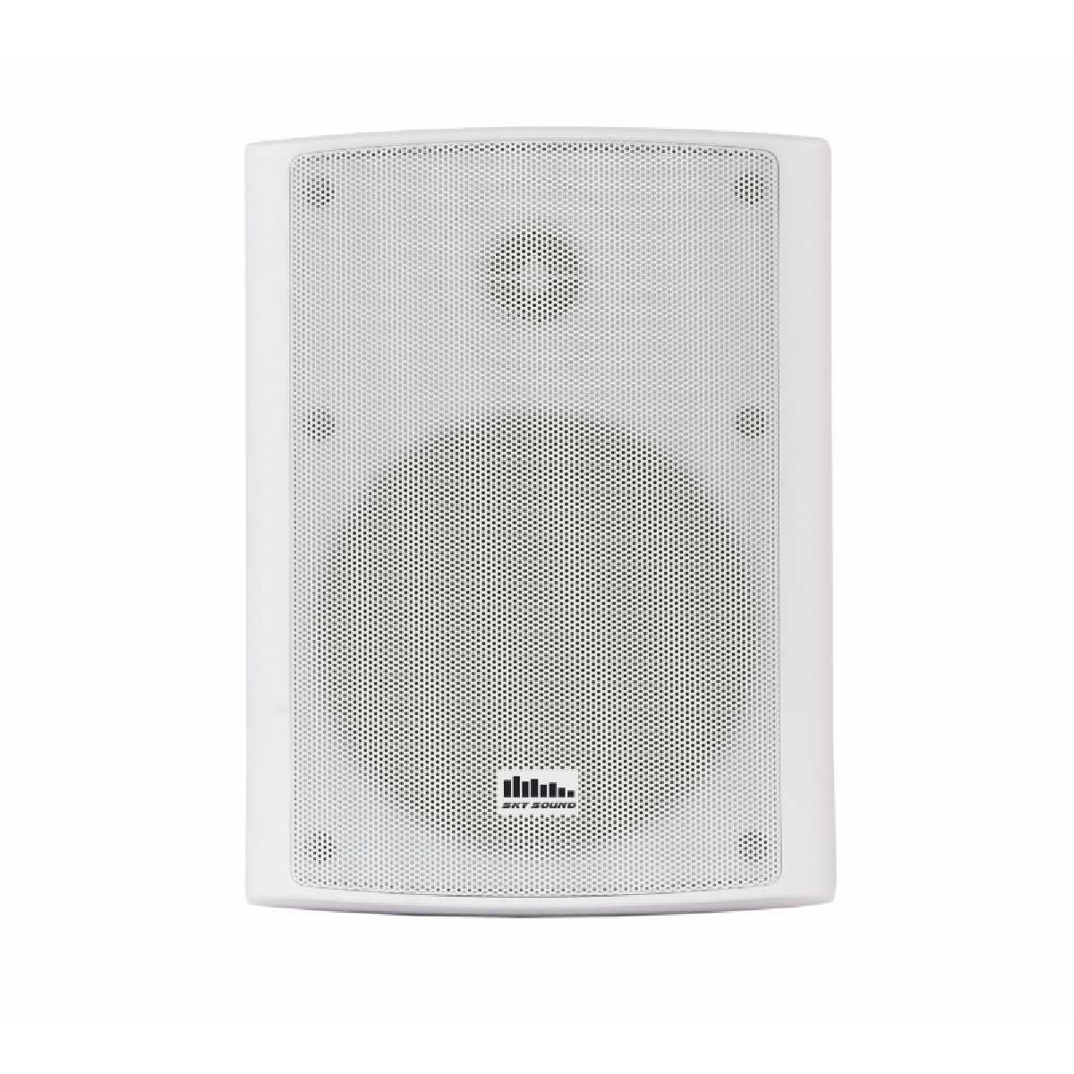 Акустический комплект SKY SOUND WSB-3002