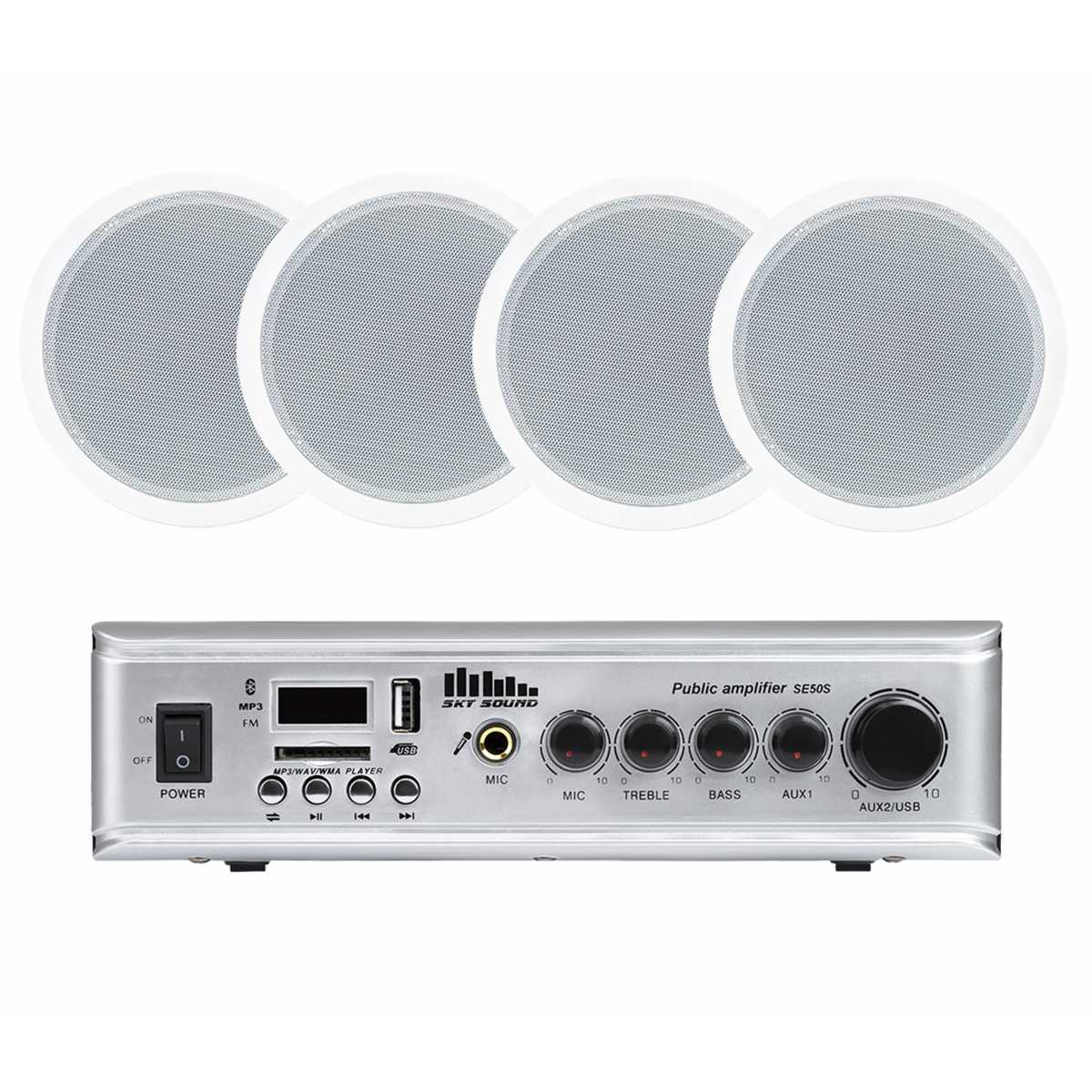 Акустический комплект SKY SOUND CSE-3104