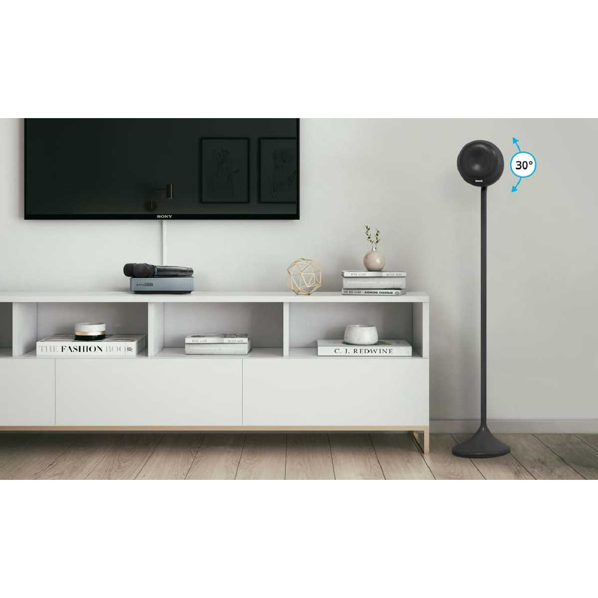 Аудіосистема для караоке EvoSound Sphere 2.1