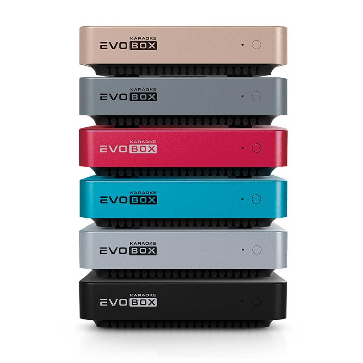 Караоке-система для дому Studio Evolution EVOBOX Graphite