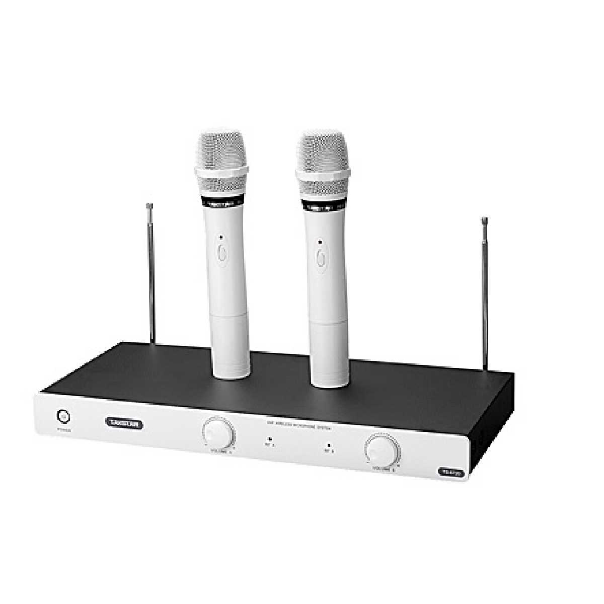 Бездротова мікрофонна система Takstar TS-6720W