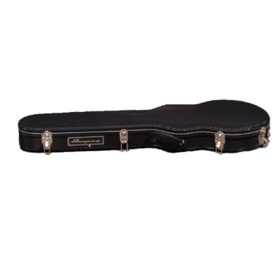 AMPEG ADA6 Case
