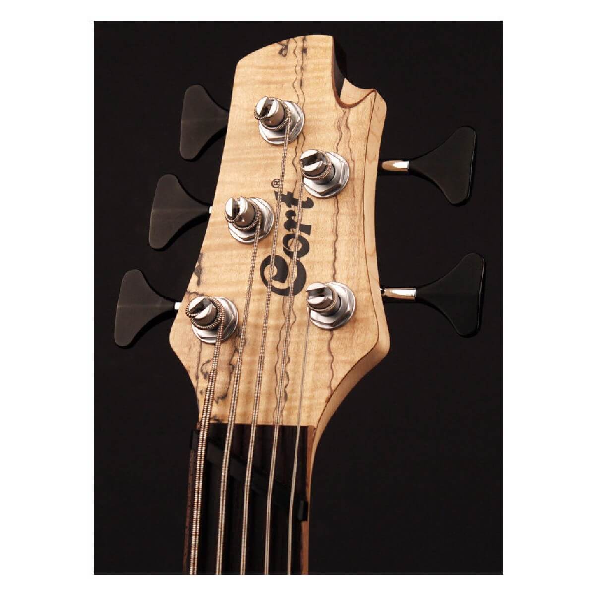 CORT A5 Plus SCMS (Open Pore Natural) w/Case