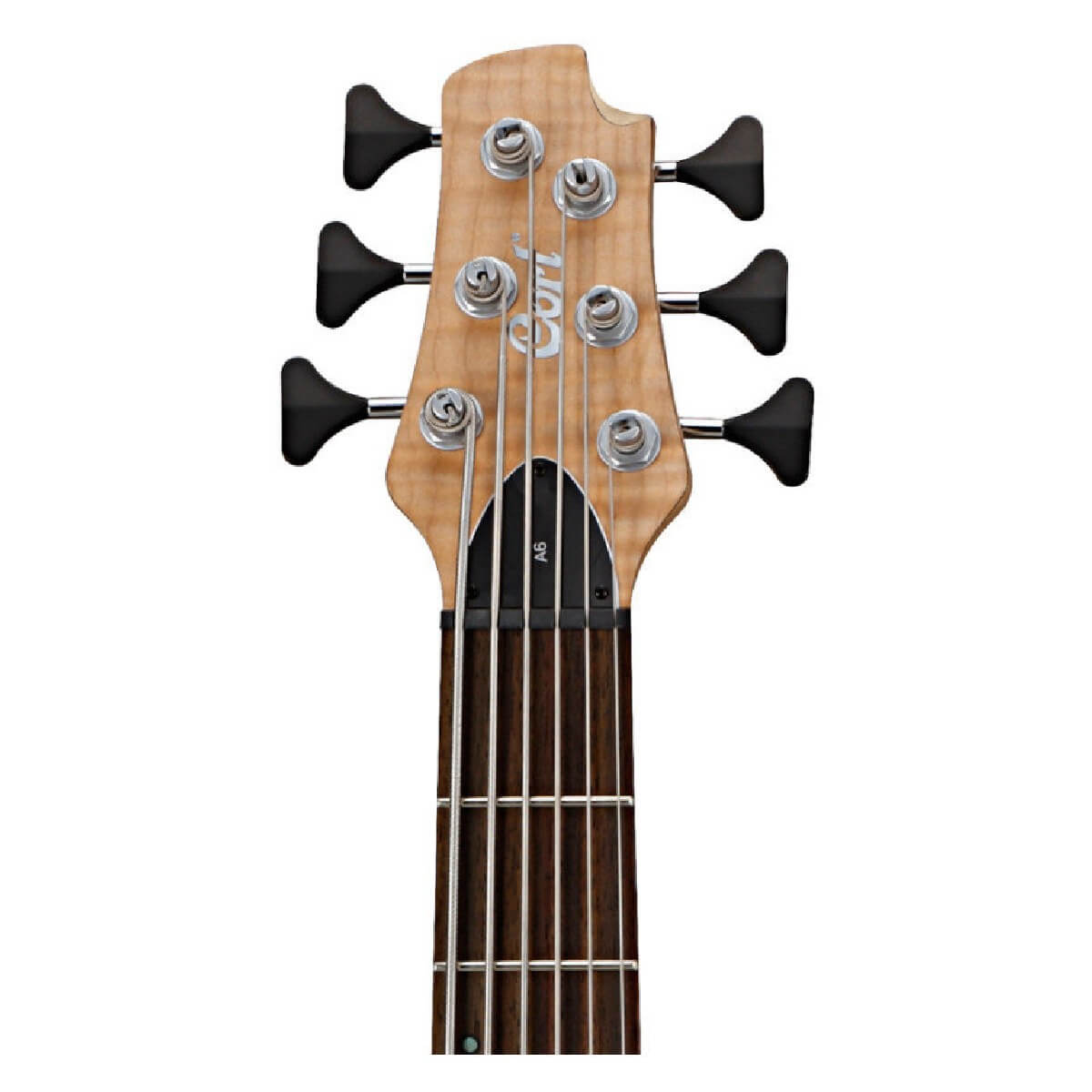 CORT A6 (OPN)