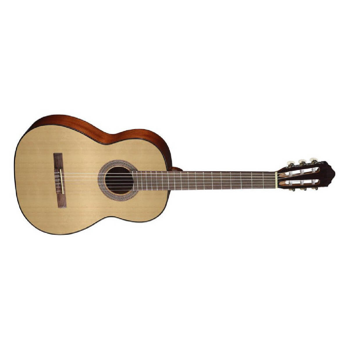 CORT AC100 (OP)