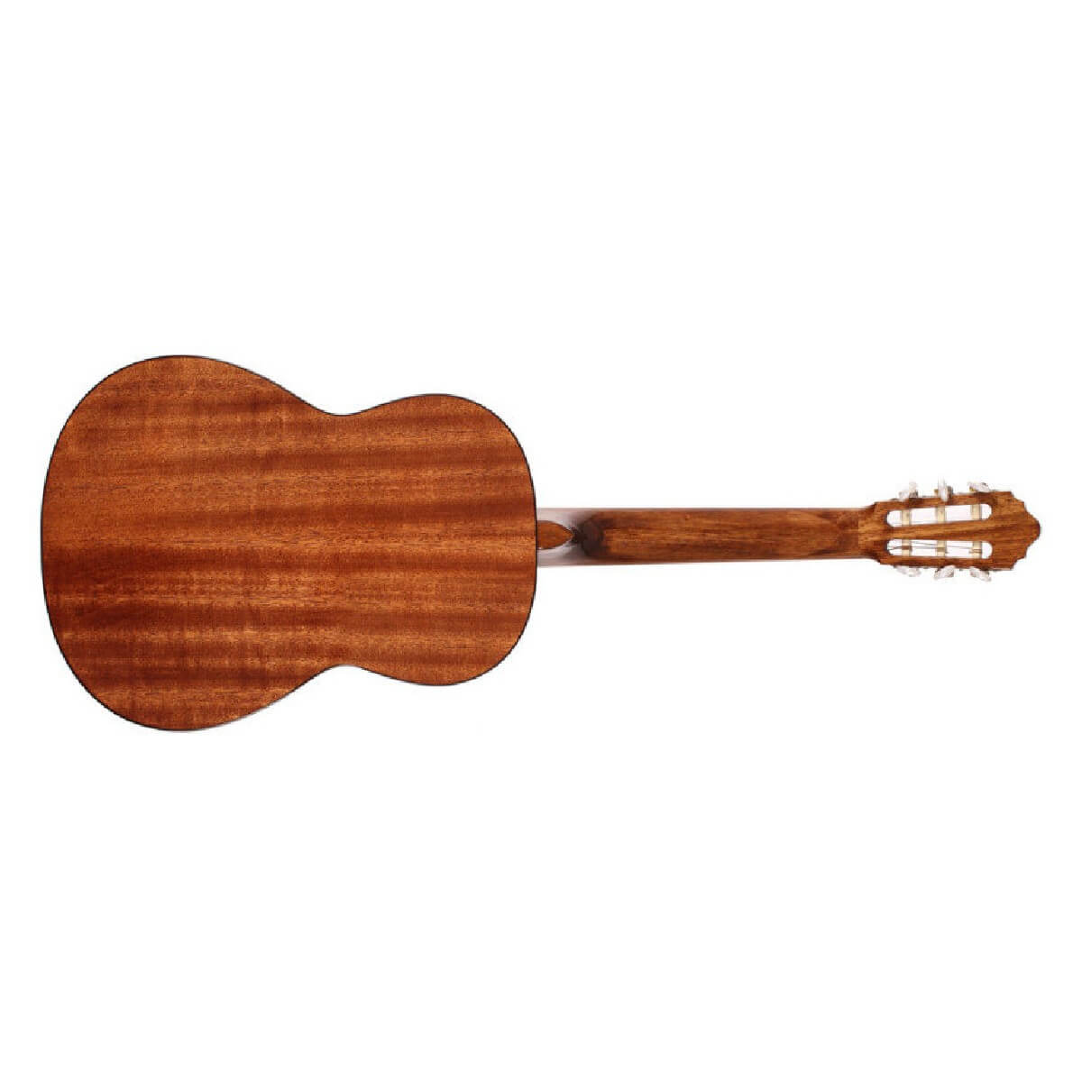 CORT AC100 (SG)