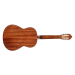 CORT AC100 (SG)